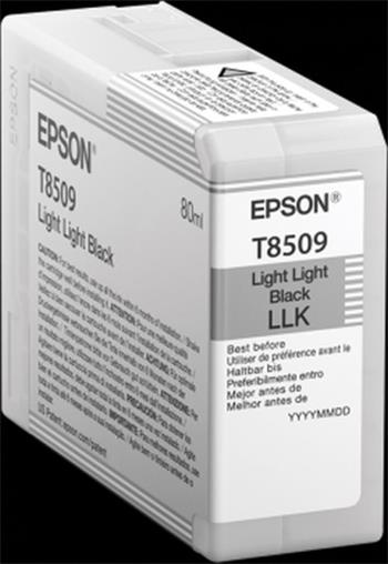 EPSON cartridge T8509 light light black (80ml) (C13T850900)