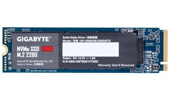 GIGABYTE SSD 256GB M.2 (GP-GSM2NE3256GNTD)