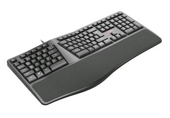 C-TECH klávesnice KB-113E USB, ERGO, černá, CZ/SK (KB-113E)