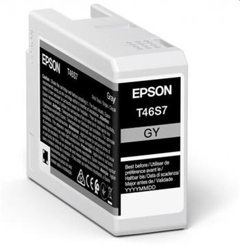 EPSON cartridge T46S7 gray (25ml) (C13T46S700)