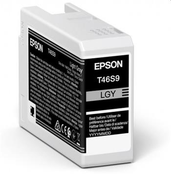 EPSON cartridge T46S9 light gray (25ml) (C13T46S900)