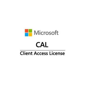 Win Server CAL 2022 (10 User) (PY-WCU10CA)