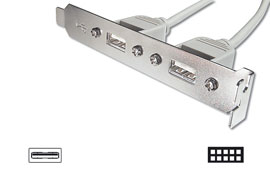 Digitus záslepka slotu s 2 USB porty + kabel 2x5pin 0,25m (AK-300301-002-E)
