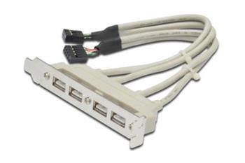 Digitus záslepka slotu s 4 USB porty, kabel 2x 10 Pin 0,25m (AK-300304-002-E)