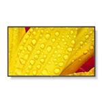 NEC 50" MultiSync ME501 - 18/7, 400 cd, VA LED, 3840x2160, 16:9, 8ms, 8000:1, DP, 2x HDM, černý
