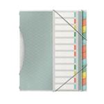Třídící desky Esselte Colour'Ice, 12 listů, mix barev