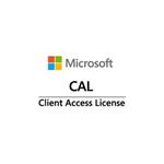 Win Server CAL 2019 (5 Device)
